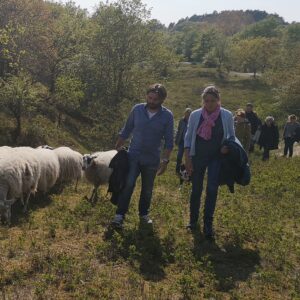 groep van school bestuur wandelt tijdens teamuitje met schaapskudde door het duingebied van het Nationaal Park Zuid Kennemerland, 2 personen wandelen voorop en zijn met elkaar in gesprek in een hele mooie groene omgeving