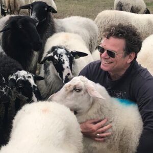 man met krullen heeft zijn armen om een schaap heen midden in de kudde tussen de andere schapen