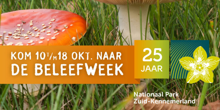 affiche van beleefweek nationaal park zuid kennemerland van 10 tot en met 18 oktober, logo van het nationaal park en paddenstoelen in het gras zichtbaar